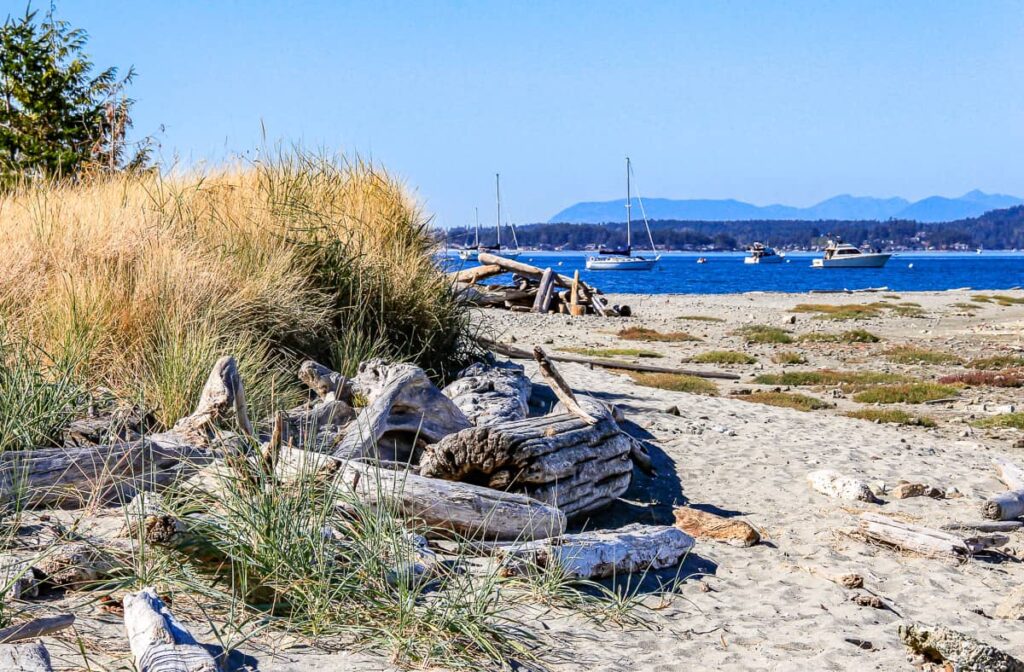 image of sidney spit