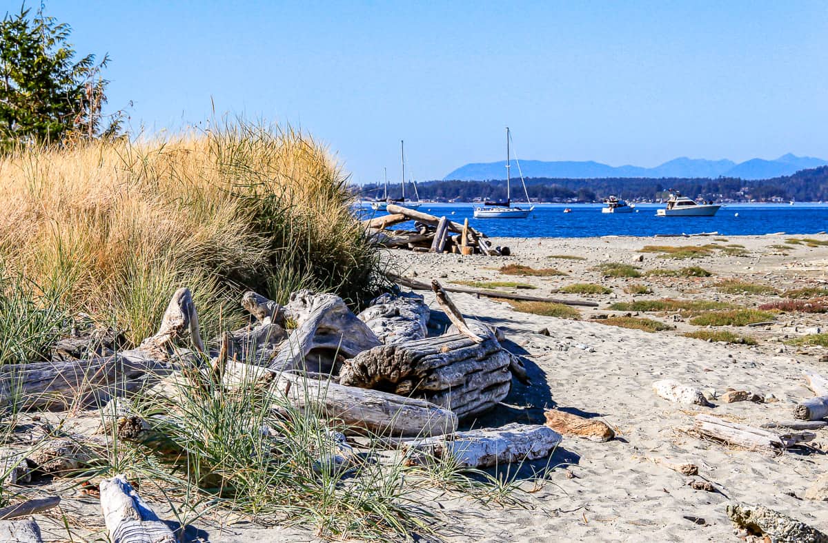 image of sidney spit