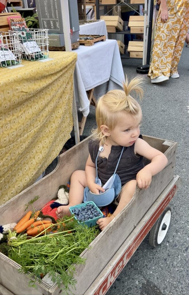 child in wagon on salt spring market