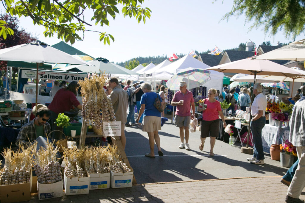 people walking around salt spring market