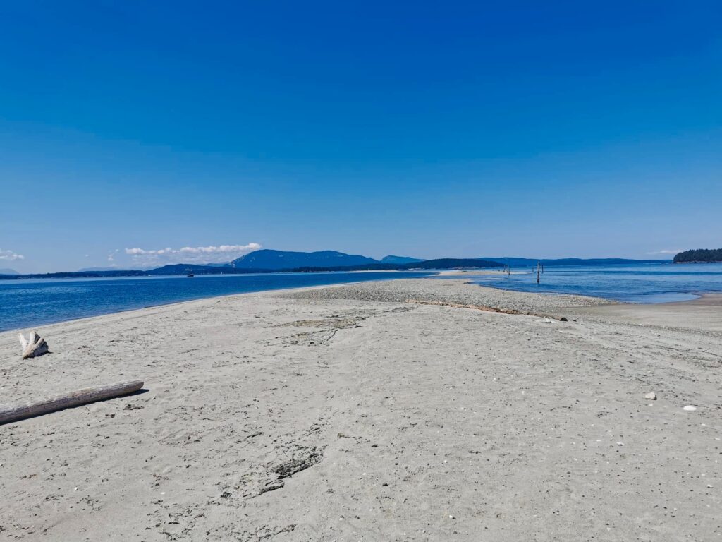 sandy sidney island beach