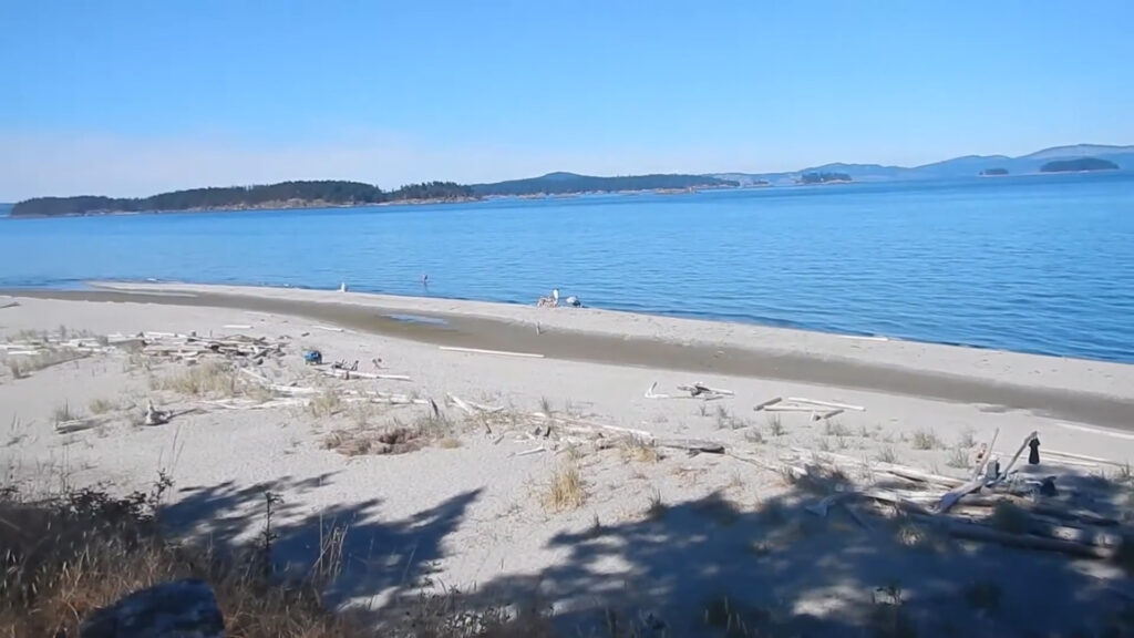 sidney spit beach