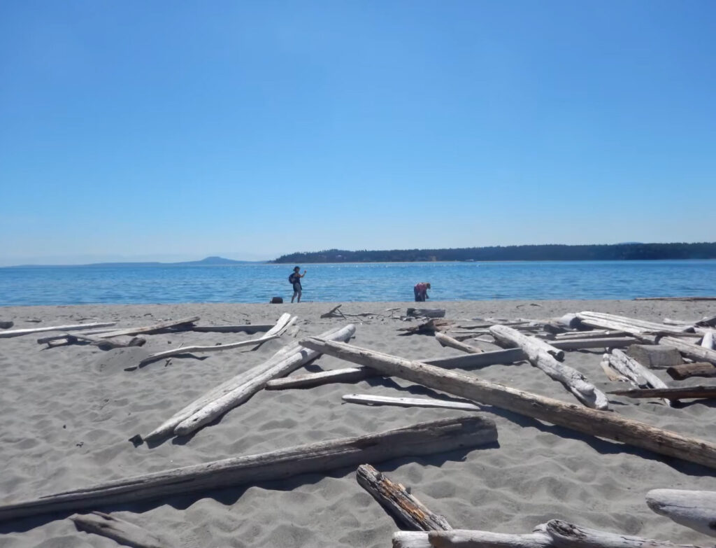 sidney spit beach
