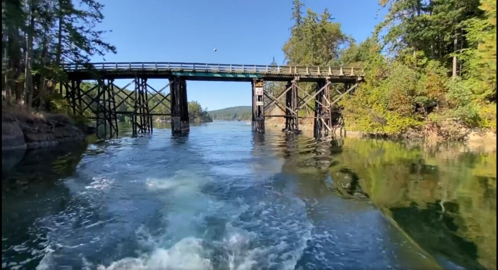 image of pender camal