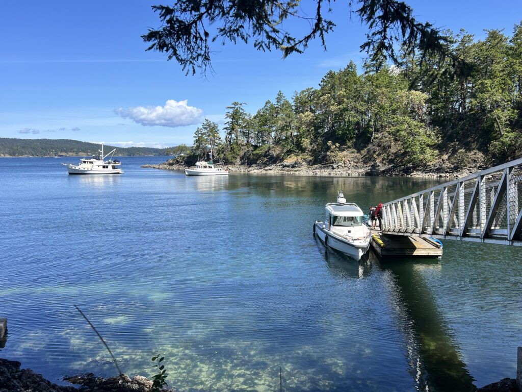 image of portand island dock