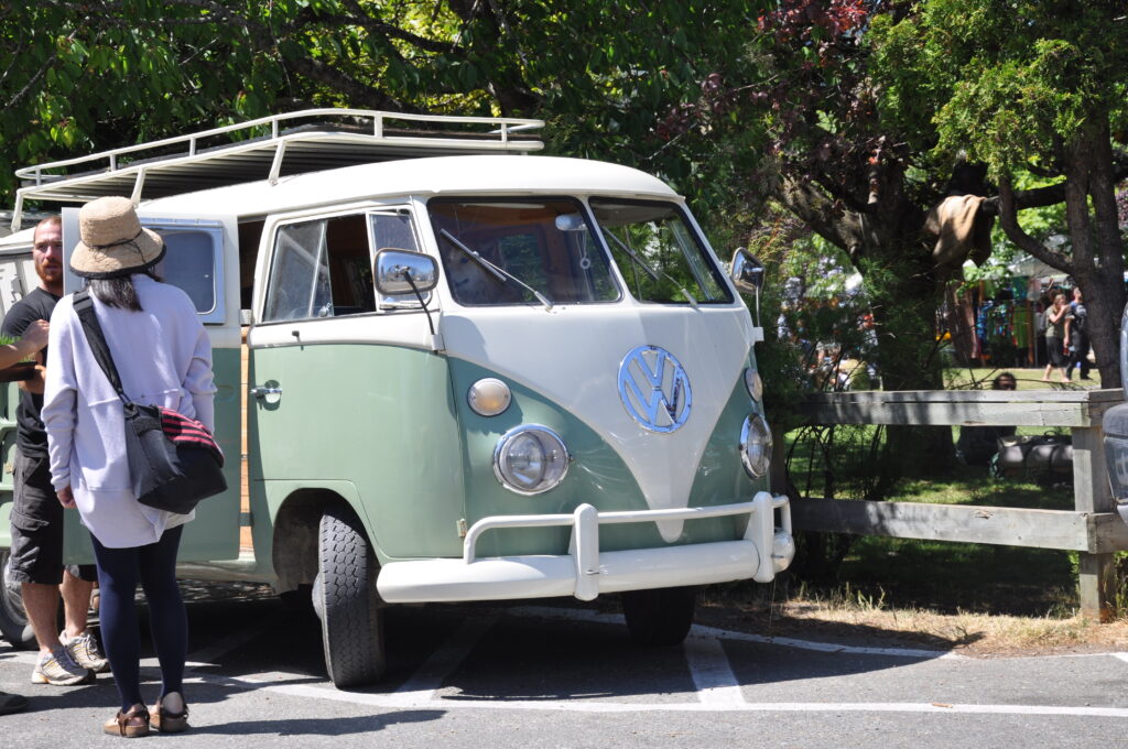people at salt spring market