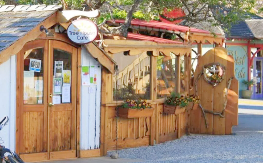 image of a tree house cafe