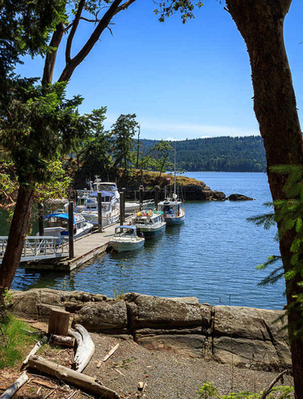 image of wallace island hiking trail
