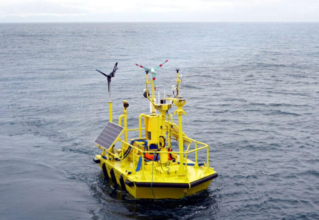 seagulls flying by a buoy