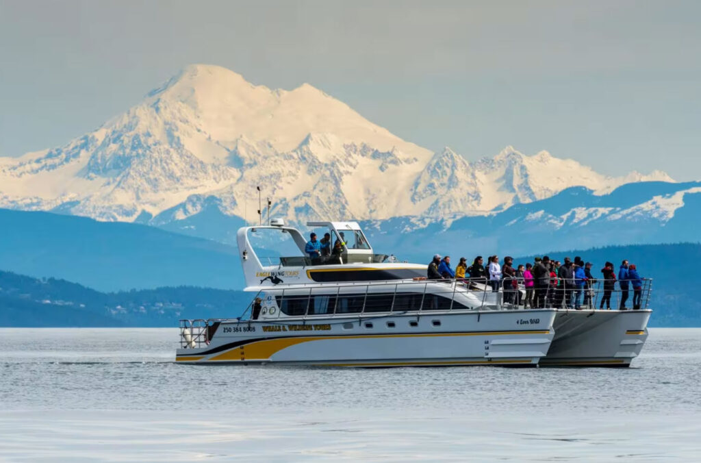 Whale watching tours Victoria BC
